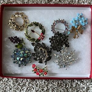 Elegant Assorted Vintage Brooch Set